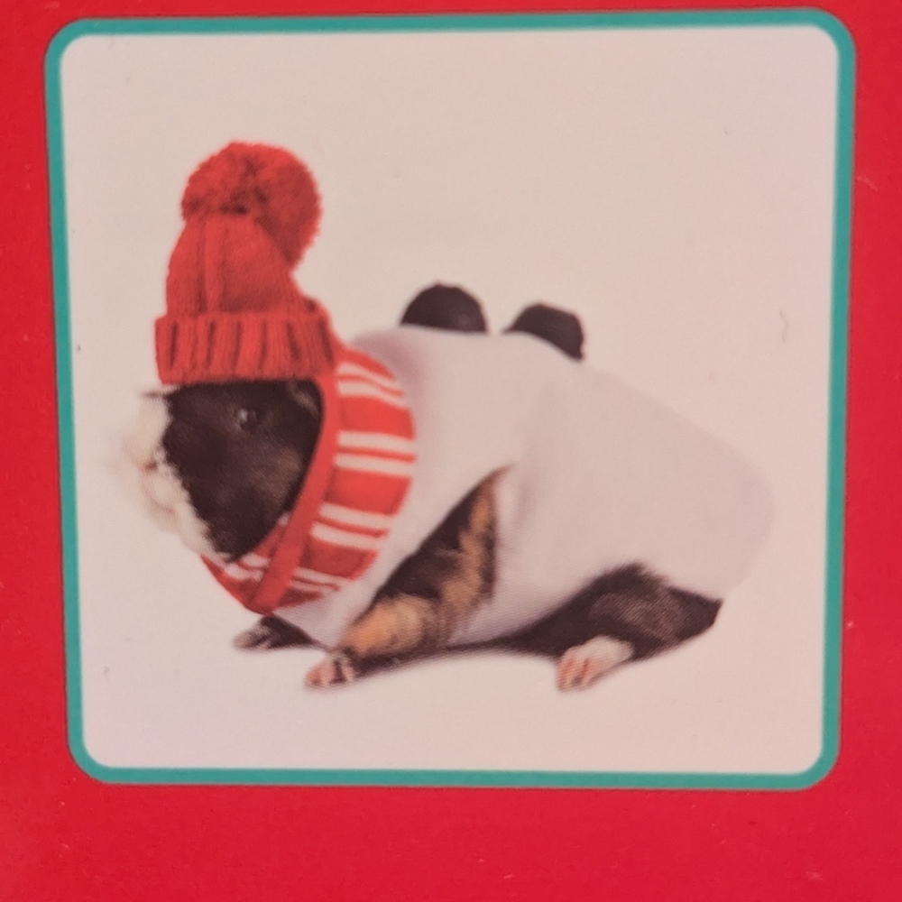 Festive Snowman Pet Costume with Red Hat